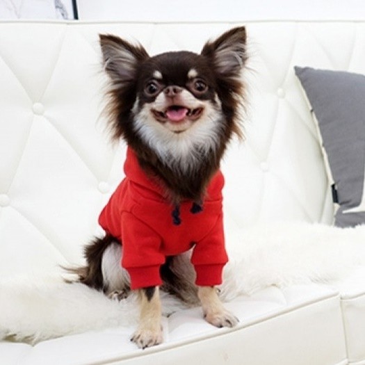 페오펫몰,러브핫핏 비비드스트링 기모 후드티셔츠_레드