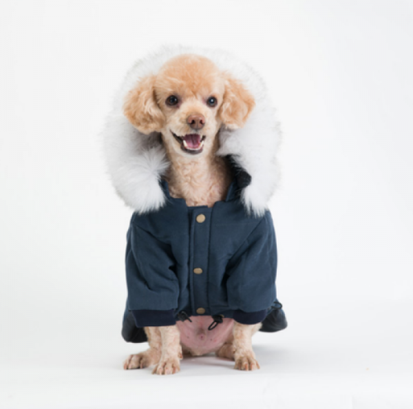 페오펫몰,러브핫핏 퀼팅 솜패딩