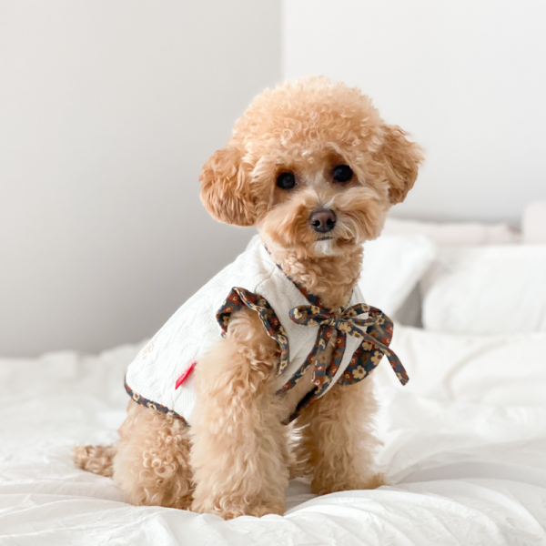 페오펫몰,러브핫핏 양면 착용 가능한 강아지 리버시블 플라워 베스트