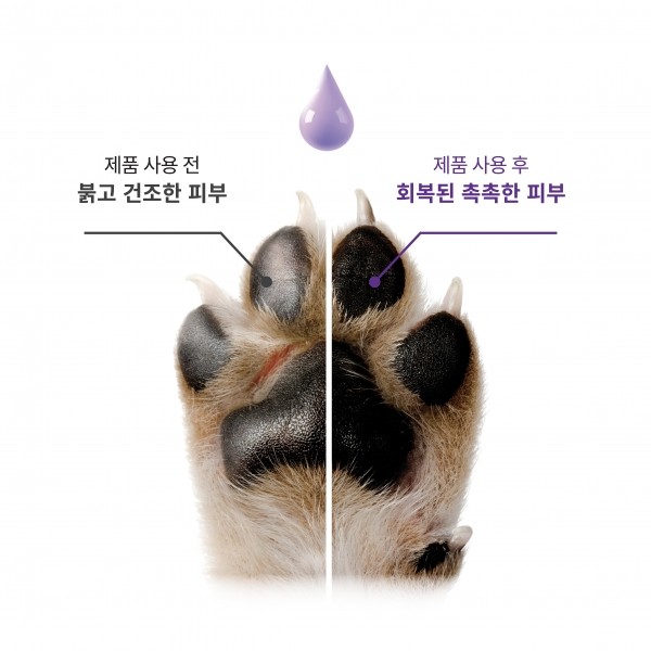 페오펫몰,코미토르 밸런스 펫 세럼 피부염,발사탕,습진,보습,진정,발바닥,아토피,연고 30g