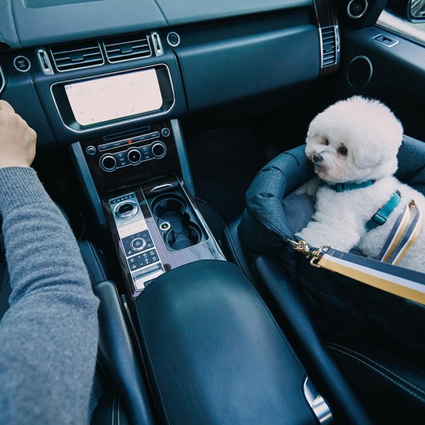 페오펫몰,[SPEL] 스펠 튤립 카시트