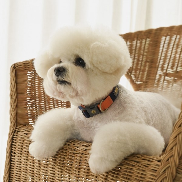 페오펫몰,[SPEL] 스펠 비비팝 베이직칼라 오렌지 (ORANGE)