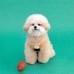 썸네일(스크롤)