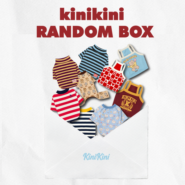 페오펫몰,[키니키니 단독 진행] 의류 LUCKY BOX! (3pack)