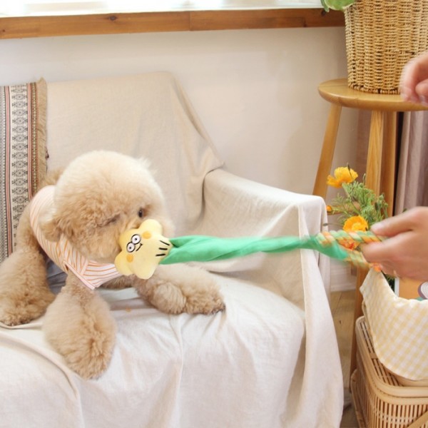 페오펫몰,[오드펫] 또또또 꿈틀이 올인원 장난감 5종