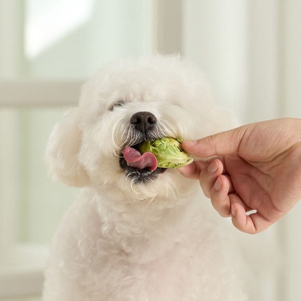 페오펫몰,펫생각 야채믹스 강아지 동결건조 간식 비건 알러지 단호박 당근 양배추 콜리플라워 25g
