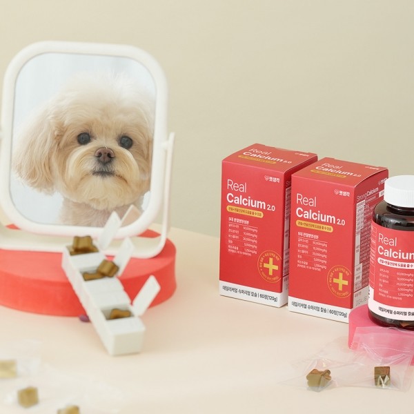 페오펫몰,펫생각 강아지 관절영양제 슬개골탈구 관절염 질환 케어 120g