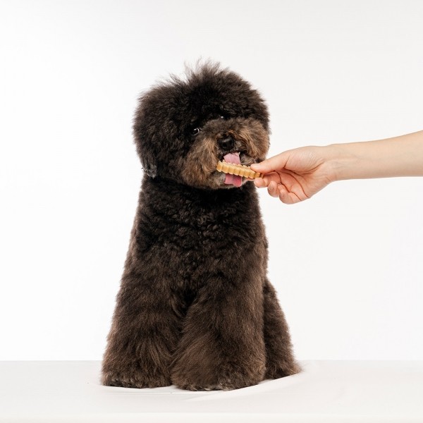 페오펫몰,[꽃길특가] 펫생각 강아지 덴탈껌 갈퀴형 치석 구취제거 개껌 양치껌 14개입