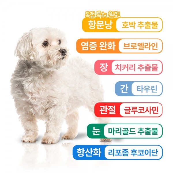 페오펫몰,펫생각 강아지 올인원 종합 멀티 비타민 항산화 영양제 120g
