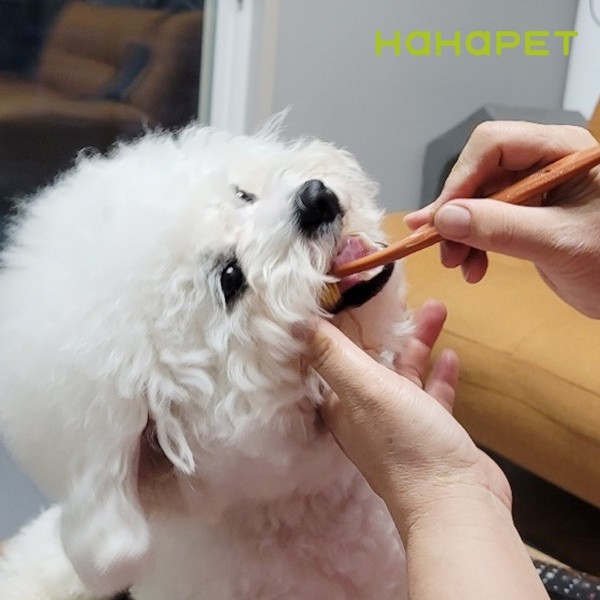 페오펫몰,하하펫 반려동물 듀얼모 강아지칫솔 2colors