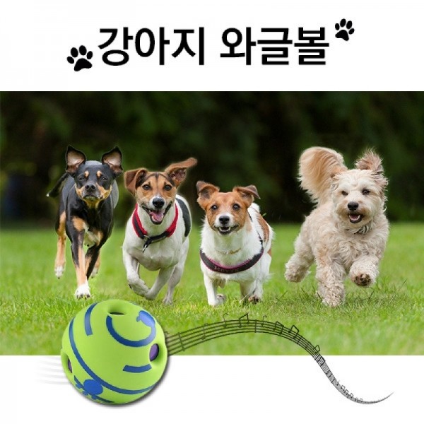 강아지 장난감 공 와글볼 기글볼 펫토이 분리불안 스트레스 해소 애견용품