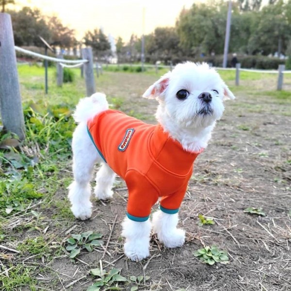 페오펫몰,아노아노 화힛팅 발열티
