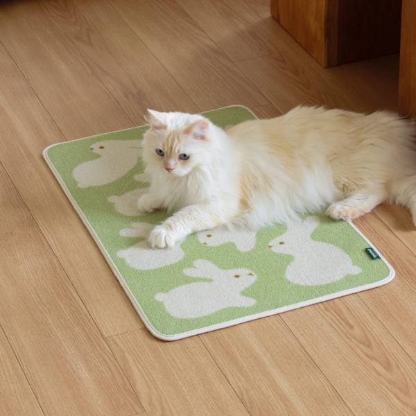 페오펫몰,피도테일 아트 포스터 스크래쳐 매트 (토끼 친구들)