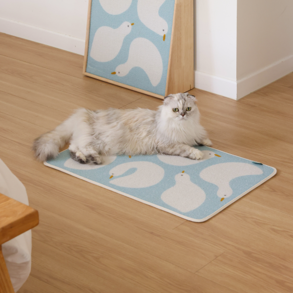 페오펫몰,피도테일 아트 포스터 스크래쳐 매트 (오리 친구들)