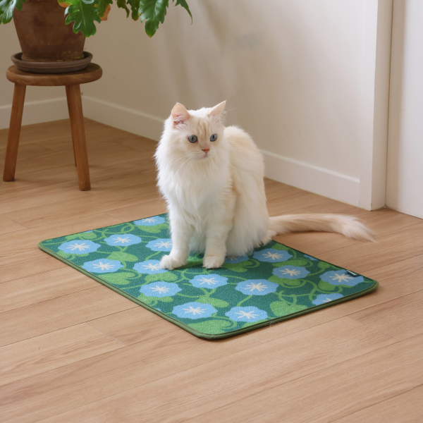 페오펫몰,피도테일 아트 포스터 스크래쳐 매트 (파란 나팔꽃)