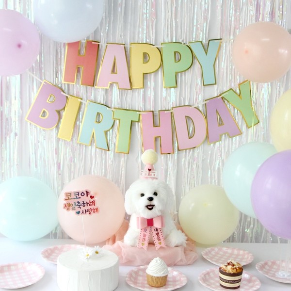페오펫몰,생일파티세트