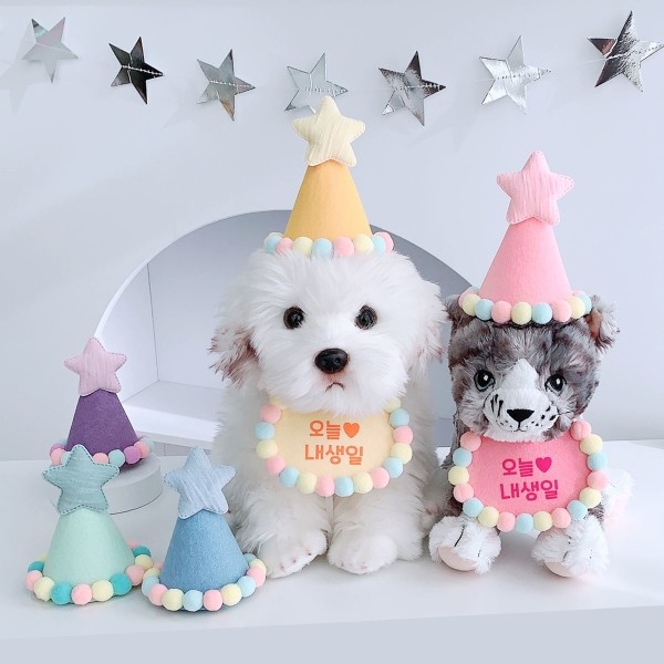 페오펫몰,[댕보양특가] 캔디폼폼 생일파티세트