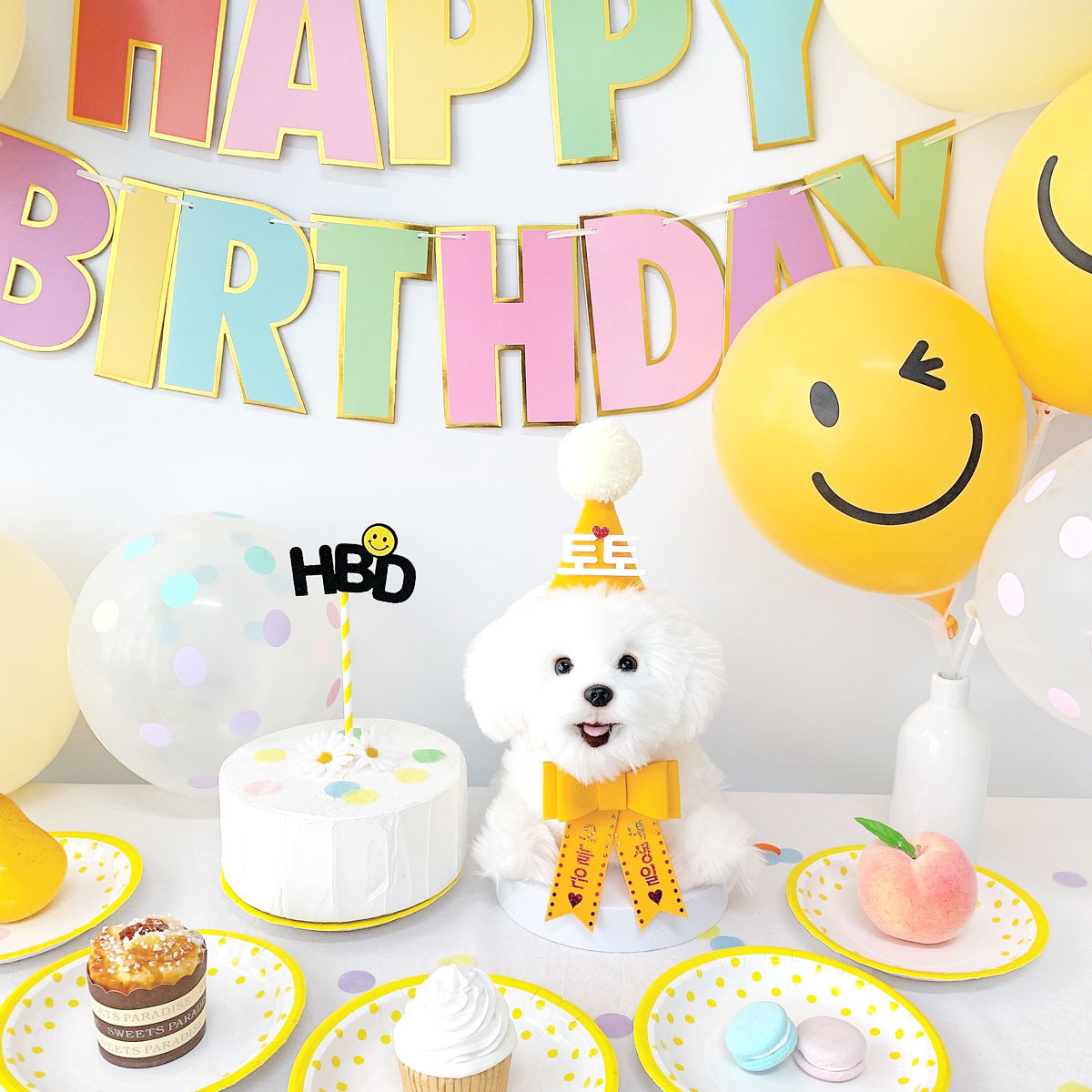 페오펫몰,스마일 생일파티세트