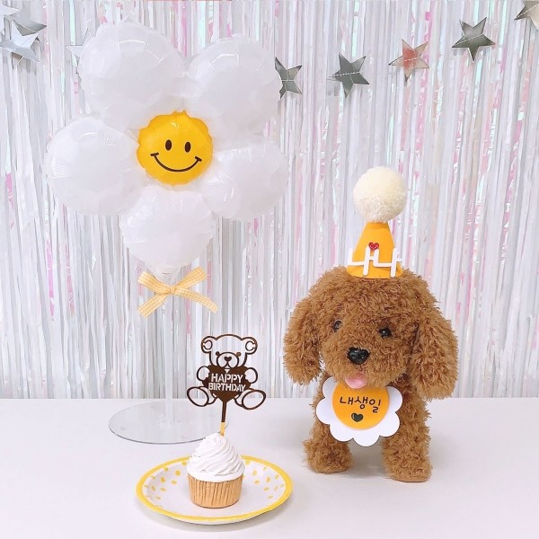 페오펫몰,데이지 생일파티세트