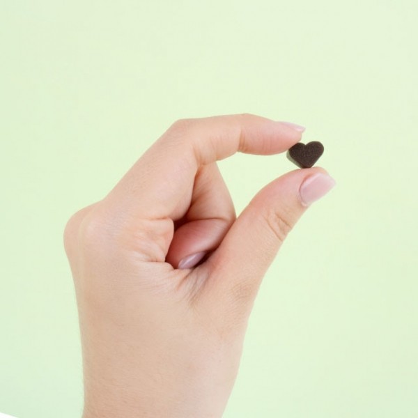 페오펫몰,리스펫랩 강아지 영양제 하트플러스 조인트