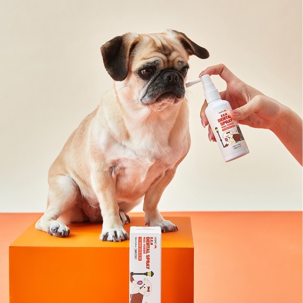 페오펫몰,리스펫랩 강아지 고양이 뿌리는 치약 구강청결제 100ml