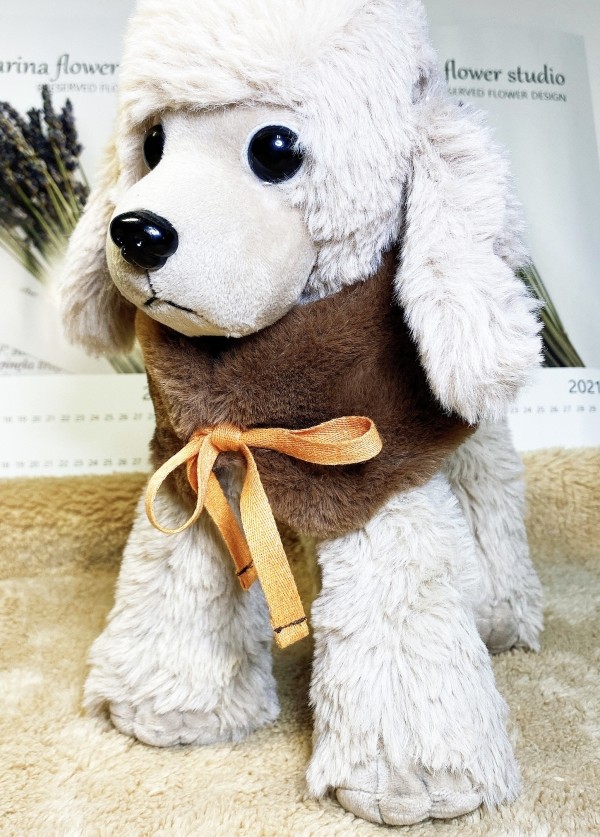 페오펫몰,[꽃길특가]체크안기모 스판티셔츠,강아지옷,스웻셔츠,애견옷,퍼스카프,채크리본