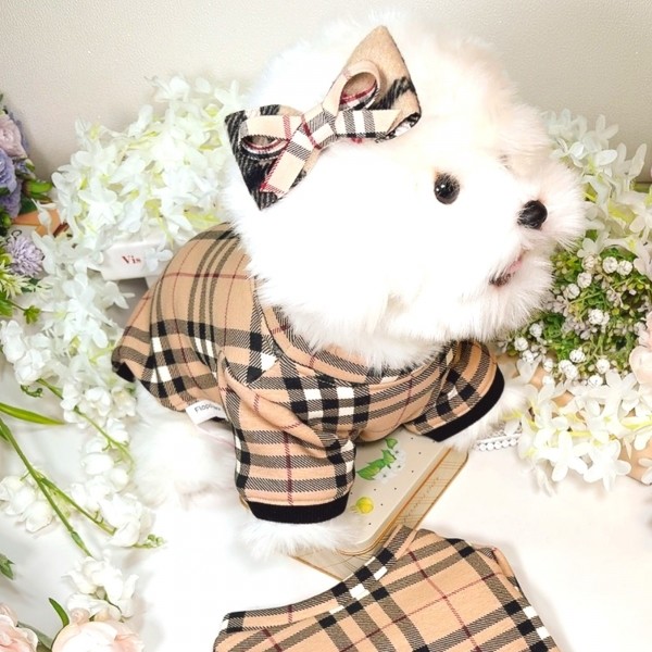 페오펫몰,[꽃길특가]체크안기모 스판티셔츠,강아지옷,스웻셔츠,애견옷,퍼스카프,채크리본