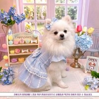 플로피이얼스[꽃길특가]블루꽃 강아지 여름원피스 강아지드레스