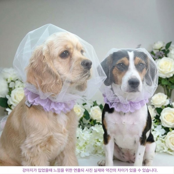 페오펫몰,[꽃길특가]헤드매쉬 핑크레이스,강아지산책 얼굴보호 망사커버, 강아지페이스커버