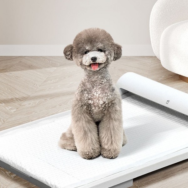 페오펫몰,[댕린이특가][강아지 자동화장실 펫토일렛]지긋지긋한 배변청소 대신 해드릴게요