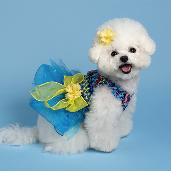 페오펫몰,Waikiki Blue Dress 와이키키 블루 드레스