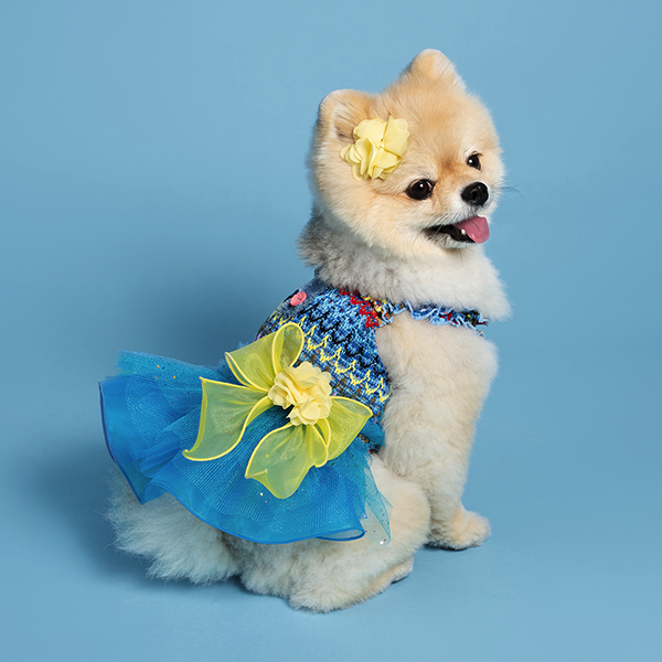 페오펫몰,Waikiki Blue Dress 와이키키 블루 드레스