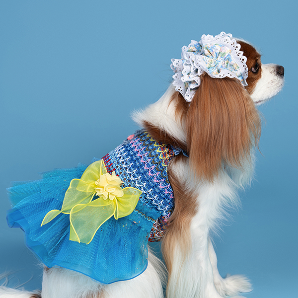 페오펫몰,Waikiki Blue Dress 와이키키 블루 드레스