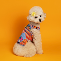 Waikiki Orange T 와이키키 오렌지 티