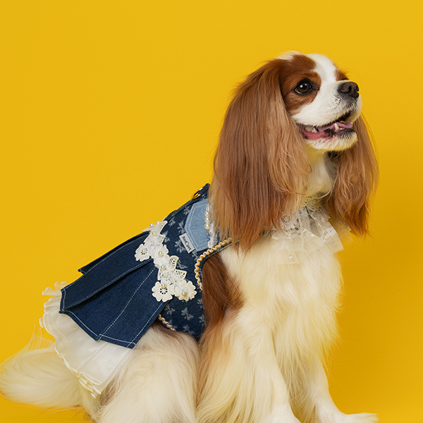 페오펫몰,(Renewal) Denim Harness DeepBlue 데님하네스 딥블루