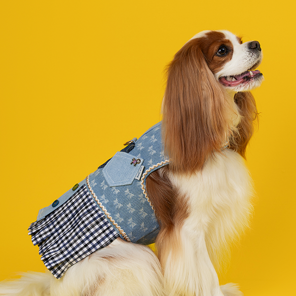 페오펫몰,(Renewal) Denim Harness SkyBlue 데님하네스 스카이블루