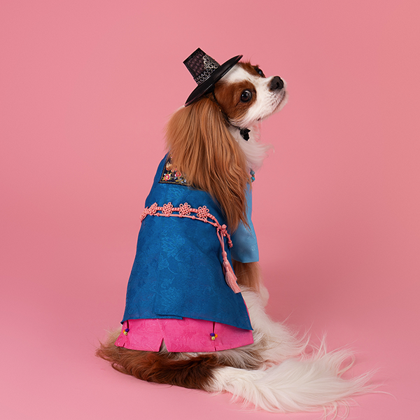 페오펫몰,Hanbok No.3 Male Style