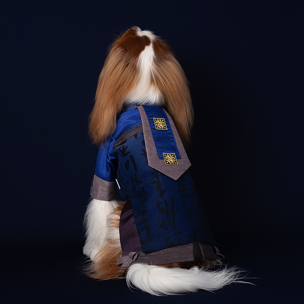 페오펫몰,HanBok - Guardian (Brown/Navy)