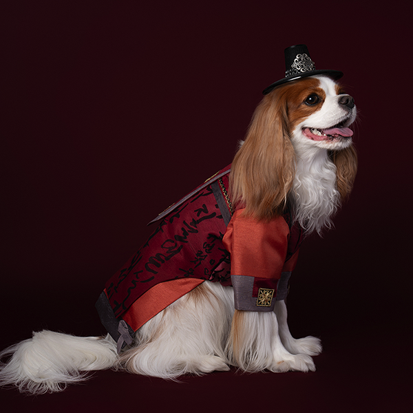페오펫몰,HanBok - Guardian (Brown/Navy)