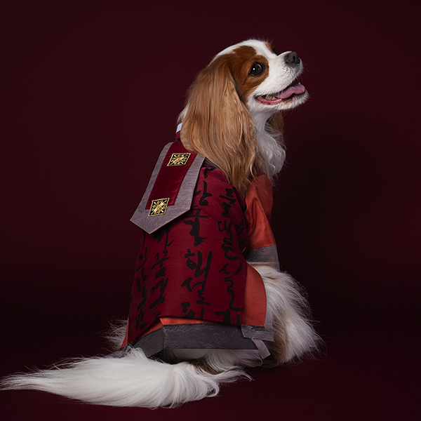 페오펫몰,HanBok - Guardian (Brown/Navy)
