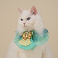 HanBok Cape Green