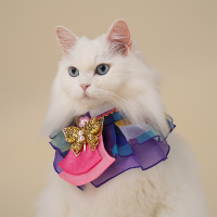 HanBok Cape Purple