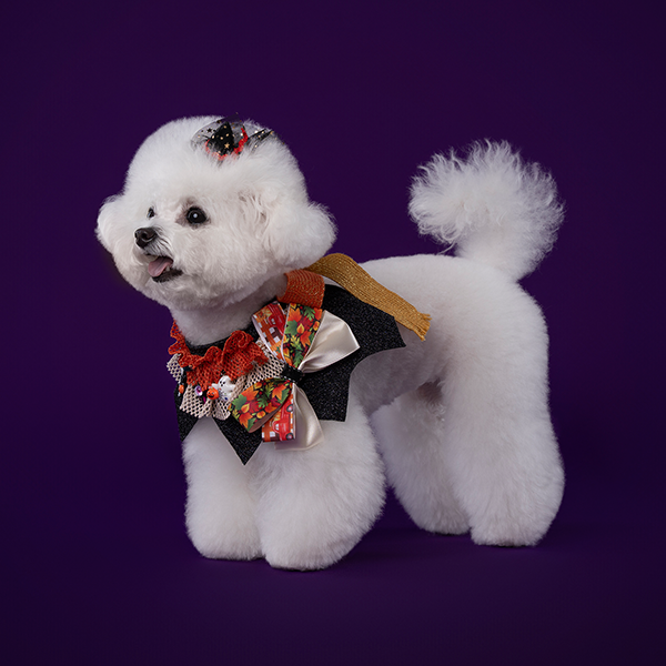 페오펫몰,Halloween Golden Cape