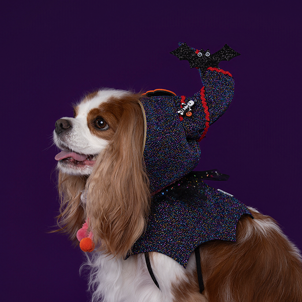 페오펫몰,Halloween Hood - Purple