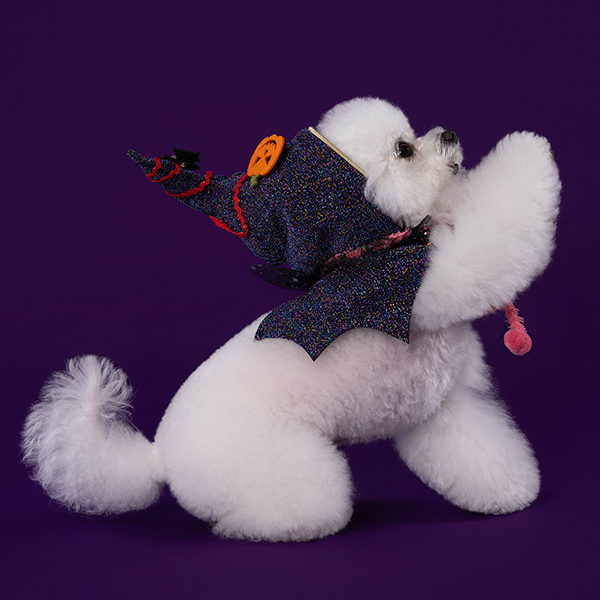 페오펫몰,Halloween Hood - Purple