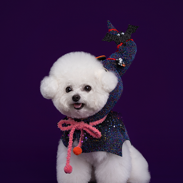 페오펫몰,Halloween Hood - Purple