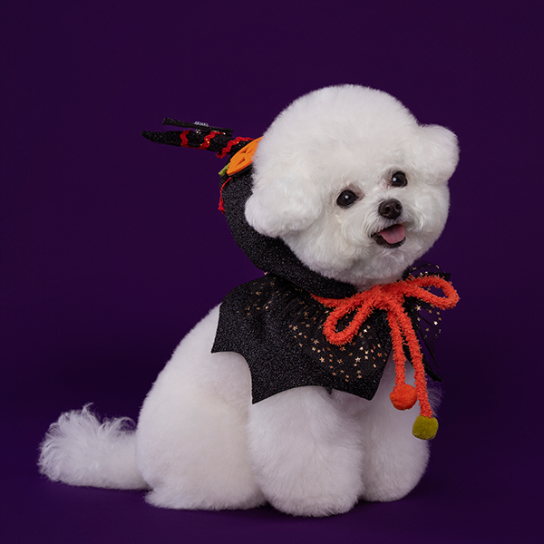 페오펫몰,Halloween Hood - Black