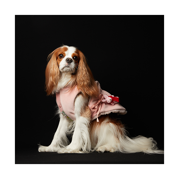 페오펫몰,Fur Vest Harness Pink (Double Sided) 털조끼 하네스 핑크 (양면)