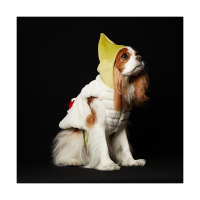 Fur Vest Harness Green (Double Sided) 털조끼 하네스 그린 (양면)