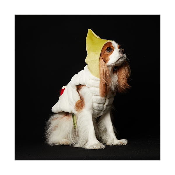 페오펫몰,Fur Vest Harness Green (Double Sided) 털조끼 하네스 그린 (양면)